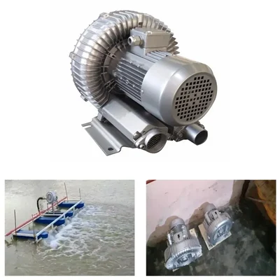 Single Stage 3 HP Single Phase Ring Blower for Agitate and Aerate Water in Fish Tank/Aquaculture Tank/Plating Tank 